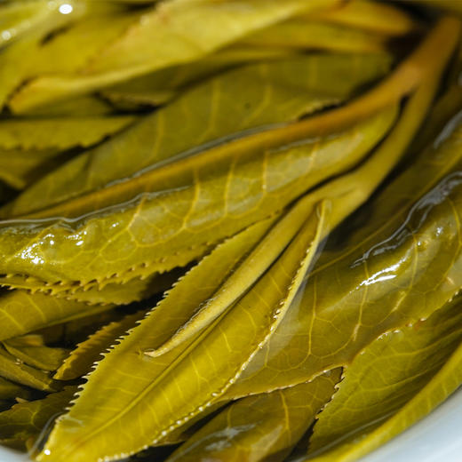 2025年春茶【神兽—白虎】超越纯料冰岛老寨的存在，神兽事业部独立出品高奢品牌，首发结束即封藏，限量100箱 拍5箱发6箱 商品图5