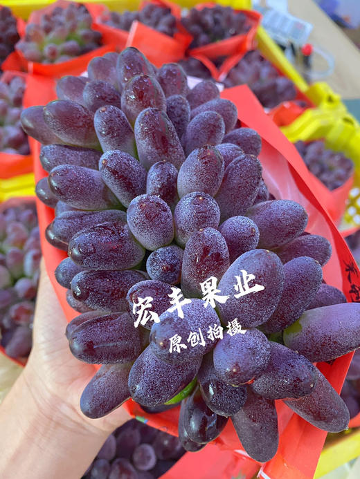 宏丰精选 茉莉香葡萄.，口感香甜，活动价15.8一斤 商品图3