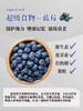 云南普洱一级花香蓝莓18＋12.8元1盒,明日到 商品缩略图1