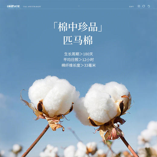 【专属特价】熙世界U领短袖t恤女夏季2025年新款基础百搭修身显瘦正肩短款上衣 商品图5