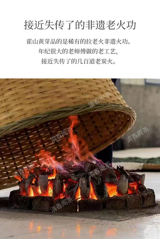 霍山黄芽 25克 大别山主峰白马尖上老树茶 商品图5