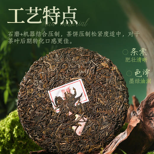 陈升号 2025年藏春357g（生茶） 商品图2