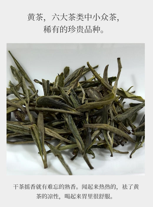 霍山黄芽 25克 大别山主峰白马尖上老树茶 商品图1