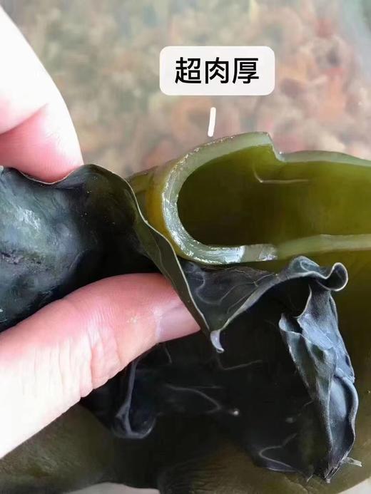 深海海带 商品图2
