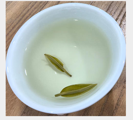霍山黄芽 25克 大别山主峰白马尖上老树茶 商品图3