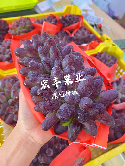 宏丰精选 茉莉香葡萄.，口感香甜，活动价15.8一斤 商品图2