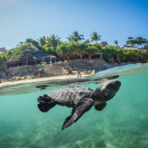 4天3晚【印尼尼希松巴酒店 | Nihi Sumba Island】有效期至2026年1月！深度体验全球最佳&奢野鼻祖酒店！享每日三餐、下午茶、欢乐时光酒水畅饮，更有限时入住福利！ 商品图2