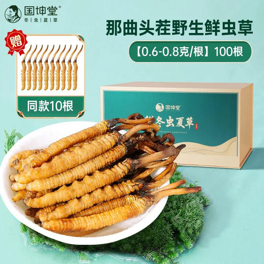 【 0.6-0.8中大草100根】国坤堂 那曲鲜虫草 商品图3