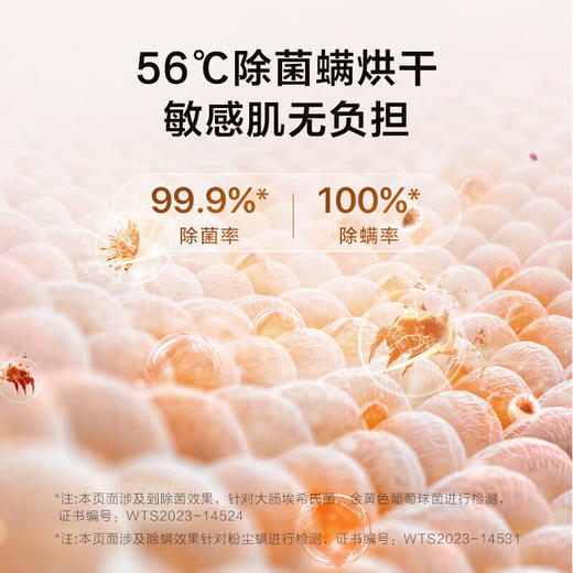 海尔晶彩181烘干机 10kg热泵干衣机家用 空气洗 除潮除菌螨 政府补贴20%烘干机 回南天/梅雨季 181U1 商品图6