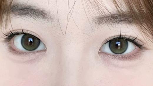 Ginomii半年抛品牌-小青柑 商品图4