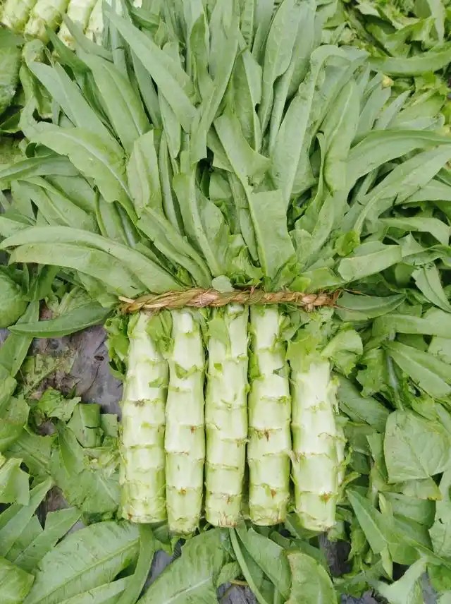 莴笋2.3元／斤 ，到店称，明天到