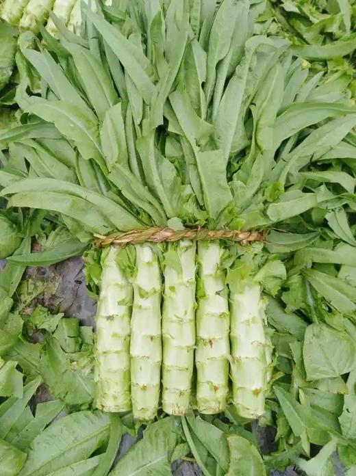 莴笋2.3元／斤 ，到店称，明天到 商品图0