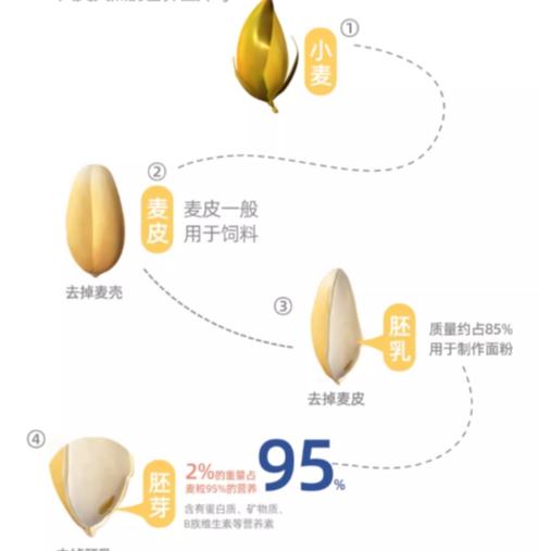 精力沛 热冲奇亚籽胚芽燕麦片 728g/罐 商品图4