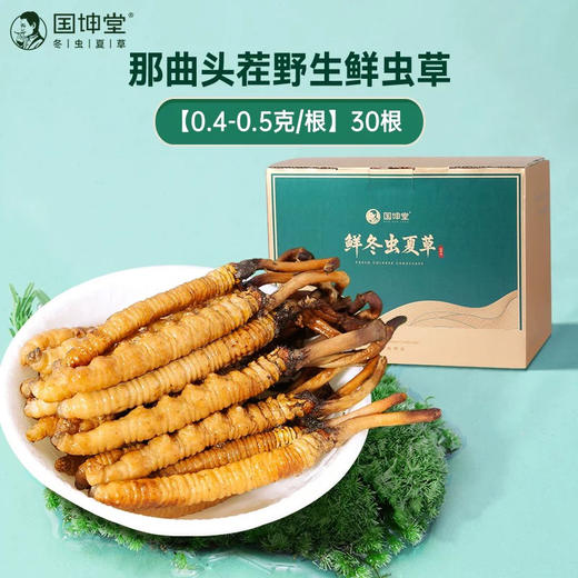 【 中小草0.4-0.5包月套餐】国坤堂 那曲鲜虫草 商品图3