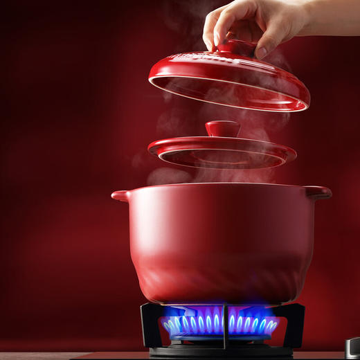 【美国西屋双盖陶瓷砂锅】西屋陶瓷锅 WTG451 家用多功能锅 商品图5