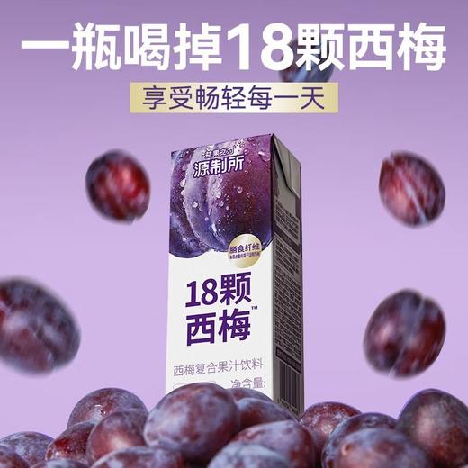 源究所 西梅复合果蔬汁200ml 商品图1