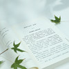 语文情缘：一位语文特级教师的汇报 商品缩略图4