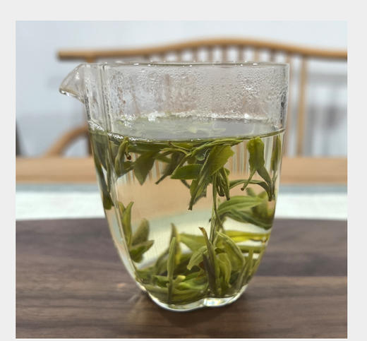 霍山黄芽 25克 大别山主峰白马尖上老树茶 商品图2