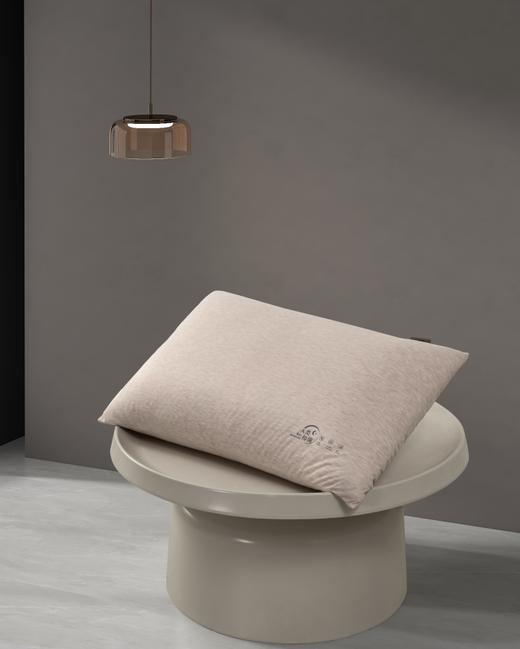 南方寝饰全A透气抑菌枕 商品图0