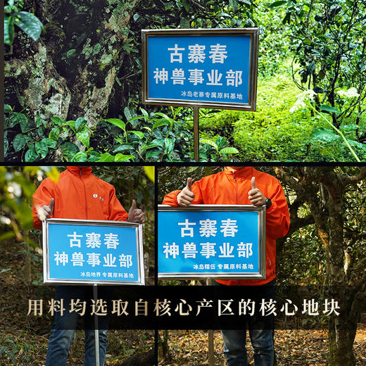 2025年春茶【神兽—白虎】超越纯料冰岛老寨的存在，神兽事业部独立出品高奢品牌，首发结束即封藏，限量100箱 拍5箱发6箱 商品图2