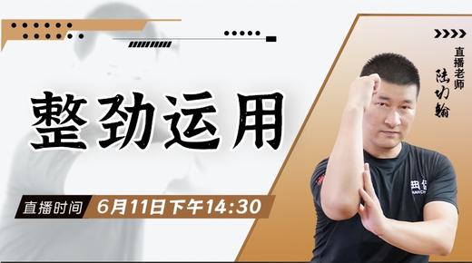 【6月11日】整劲运用——功夫课堂 商品图0