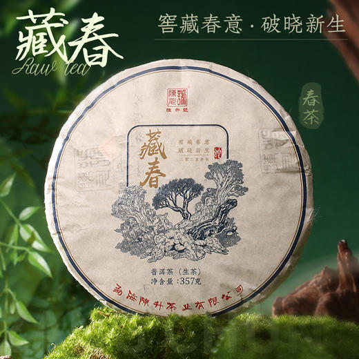 【香甜套餐】陈升号 2025年那卡357g+藏春357g加赠馥雅1饼+茶针1支 商品图4