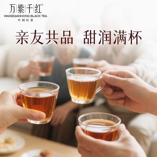 竹叶青牌万紫千红红茶一级100g/袋 商品图2