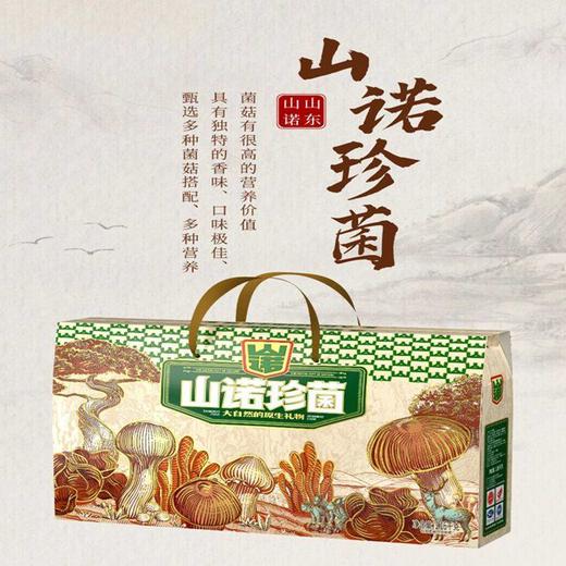 山诺珍菌-高山白玉耳等12种组合  1.16kg 商品图0