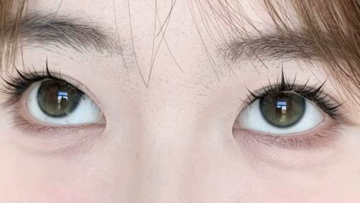 Ginomii半年抛品牌-小青柑 商品图3