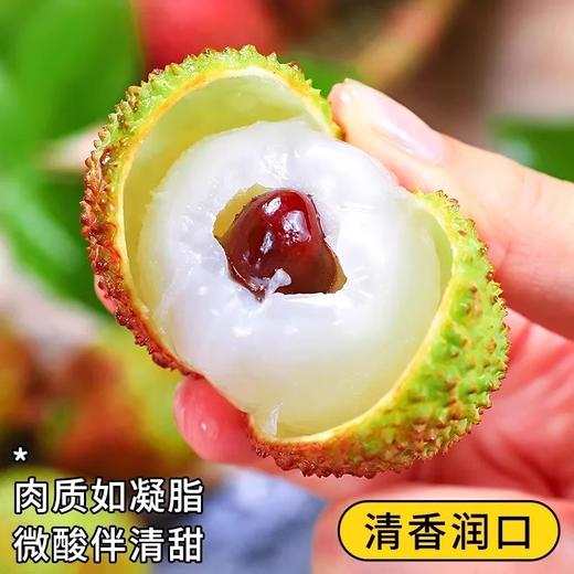 【风味浓郁！香甜可口】海南妃子笑荔枝5斤新鲜水果当季现摘爆甜桂花荔枝香老树大果整箱。ry 商品图1