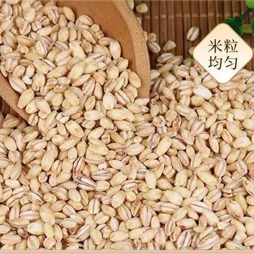 山诺五谷杂粮-大麦仁等8种组合  2.4kg 商品图1