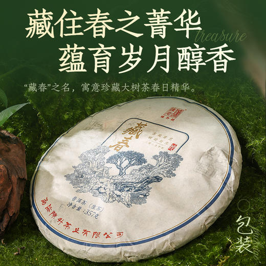 陈升号 2025年藏春357g（生茶） 商品图3