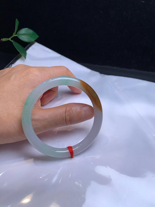 620144，56三彩细圆条，颜色清新靓丽，整条都非常均匀 商品图5