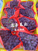 宏丰精选 茉莉香葡萄.，口感香甜，活动价15.8一斤 商品缩略图1