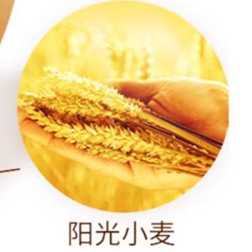 苏米仔新疆鸡蛋面800g 商品图4