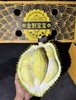 金刺宝宝榴莲 商品缩略图0