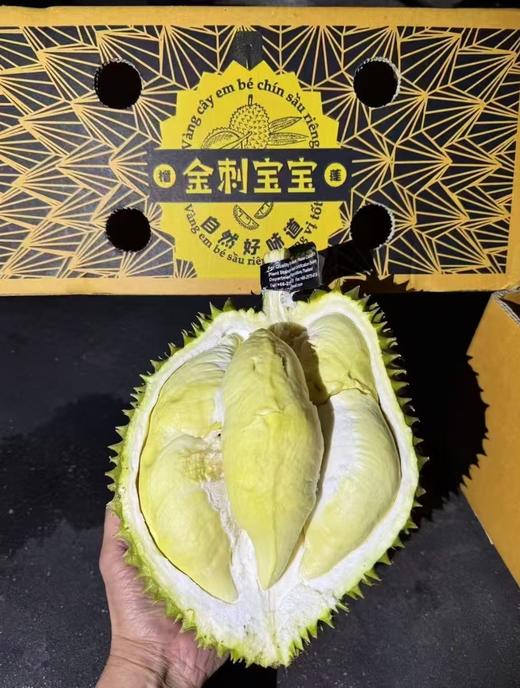 金刺宝宝榴莲 商品图0