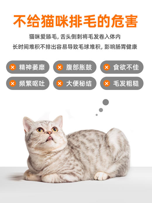 【买1送1 送正装】普安特化毛球片猫草片幼成猫咪专用调理肠胃吐毛球化毛膏猫片 商品图1