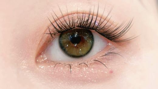 Ginomii半年抛品牌-小青柑 商品图1