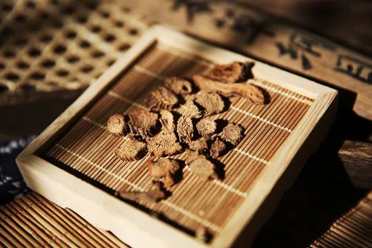 草药千年健图片素材 草药千年健设计素材 草药千年健摄影作品 草药千年健源文件下载 草药千年健图片素材下载 草药千年健背景素材 草药千年健模板 ...