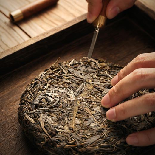 磨烈古树 双江勐库磨烈古树茶2024 春生普 仅280饼 商品图2