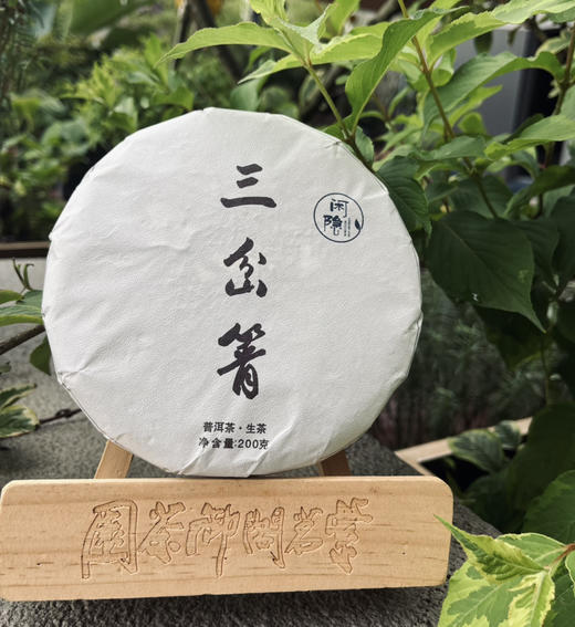 2025年头春秘境古树三岔箐-1片200g 商品图0