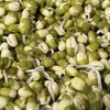 章丘【粉沙绿豆（老品种）】色泽翠绿，自然温润，颗粒饱满，粒大皮薄，豆香浓郁，沙糯可口，绝对的老品种绿豆，非转基因，原生态种植！ 商品缩略图5