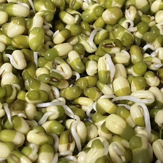 章丘【粉沙绿豆（老品种）】色泽翠绿，自然温润，颗粒饱满，粒大皮薄，豆香浓郁，沙糯可口，绝对的老品种绿豆，非转基因，原生态种植！ 商品图5