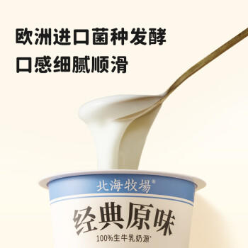 北海牧场经典原味酸奶100g*6杯  高钙含量100mg/杯低温酸奶酸牛奶 商品图4