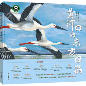 黄河口的东方白鹳
