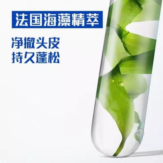 海飞丝去屑头皮护理洗发露 (控油蓬松型)80g 商品图3