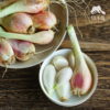 生态葱头 |合作生产 * Ecological shallots | Coproduction 商品缩略图3
