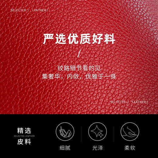 赤链捆绑套装皮革套组SM 商品图1