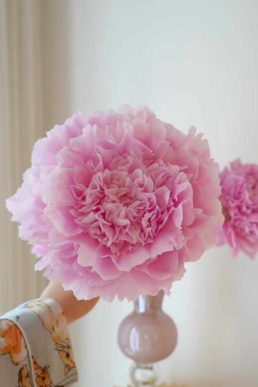精品花材餐盘芍药花5支 商品图9